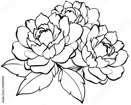 Black white line sketch flower art