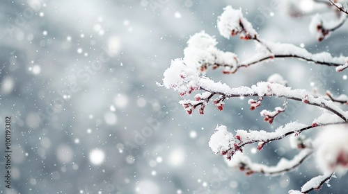 Winter snow wallpaper