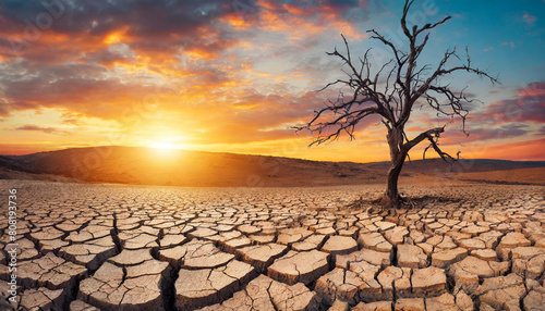 Barren desert landscape with parched land and withered tree beneath, symbolizing drought and climate crisis