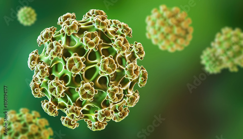 Human papillomavirus (HPV). Medically illustration photo