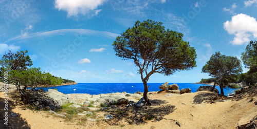 Mediterranean sea rocky coast summer panorama with pine trees, big stones and footpath (near Tamariu bay, Costa Brava, Catalonia, Spain). © wildman
