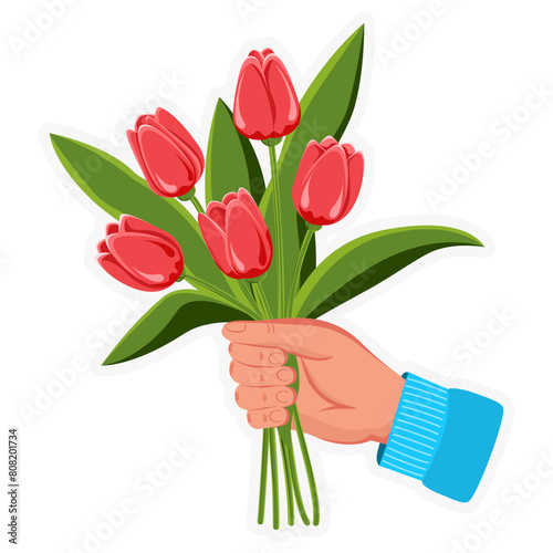 A bouquet of tulips in hand. Spring april wildflowers. Vector. Cartoon illustration used for holiday and for greetings, print, stickers, for web design. 