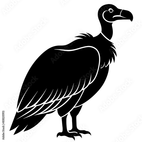 Vulture bird. Bird predator icon. Nature evil. Nature, bird watching and ornithology design| Vector illustration isolated on white background. 