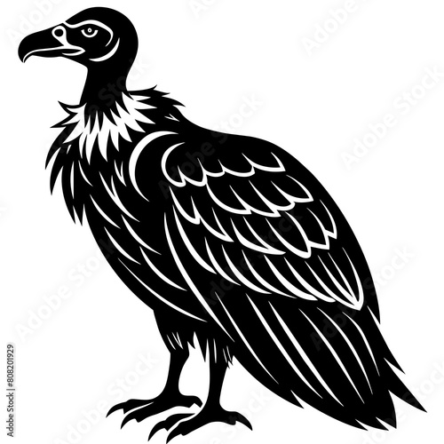 Vulture bird. Bird predator icon. Nature evil. Nature, bird watching and ornithology design| Vector illustration isolated on white background. 