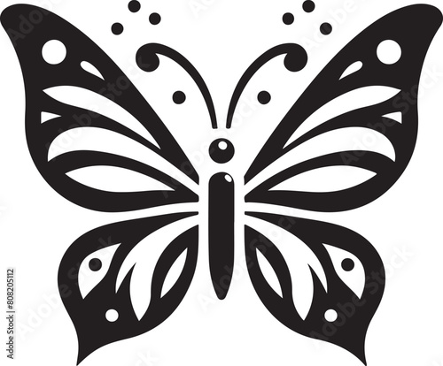 black and white butterfly