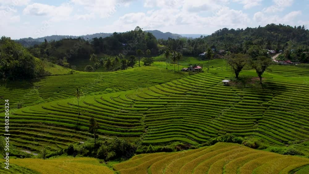 4K Aerial Drone video of the most beautiful vivid green Cadapdapan rice terraces with a hill in the middle and small local houses and sheds around in Bohol Philippines 4K Aerial Drone video of the most beautiful vivid green Cadapdapan rice terraces with a hill in the middle and small local houses and sheds around in Bohol Philippines