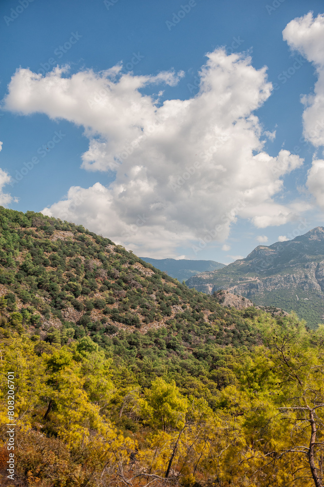 Nature summer background with cloudy sky, mountain and trees