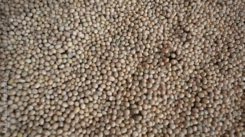 grain processing factory processing soybeans grain processing factory processing soybeans