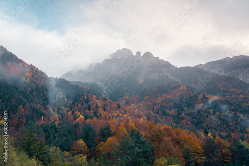 Autumn colors in Selva de Oza, Aragonese Pyrenees photo