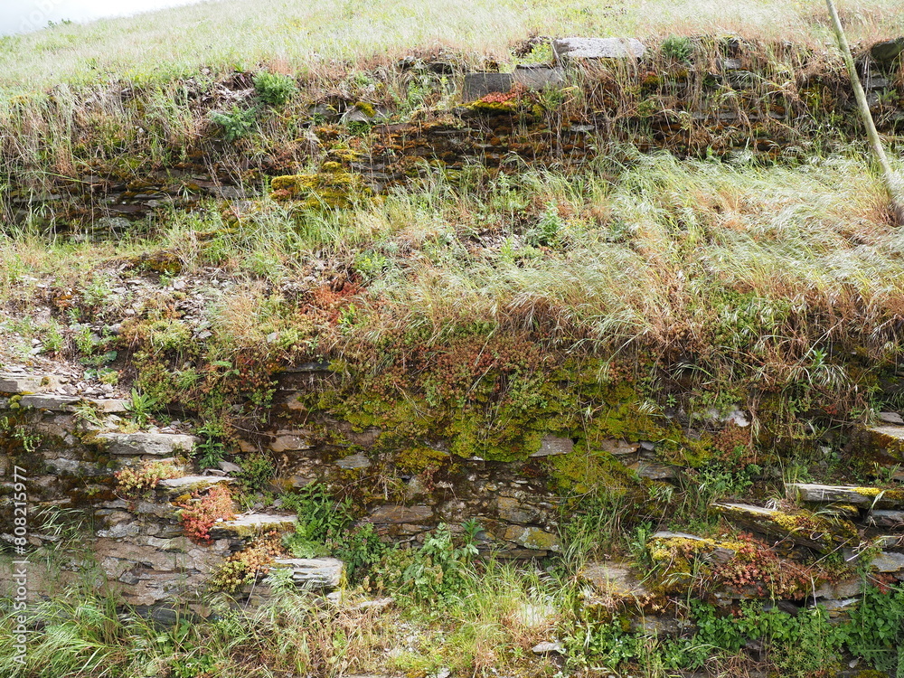 Zell an der Mosel mit Pulverturm, Friedhof und Stadtübersicht