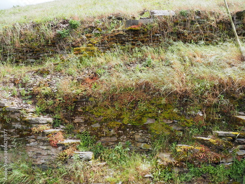 Obraz na płótnie Zell an der Mosel mit Pulverturm, Friedhof und Stadtübersicht w salonie