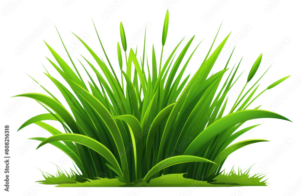 Obraz premium PNG Grass green plant leaf.