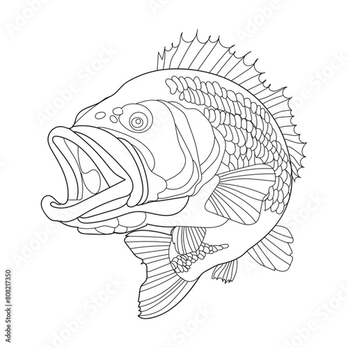 big bash fishline art design template  photo