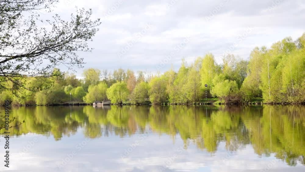 summer landscape on the river, green trees and willows reflecting in the water summer landscape on the river, green trees and willows reflecting in the water