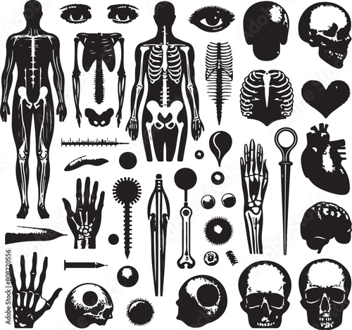 Set of doctor halftone anatomy elements.  silhouette set black color . white color background 