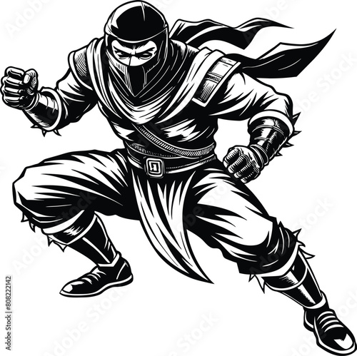ninja in action 02