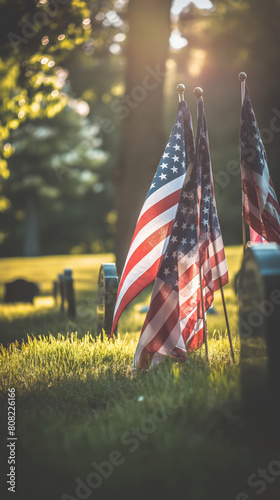 Two American flags are placed in the grass near a fire hydrant in a patriotic display on a sunny day.