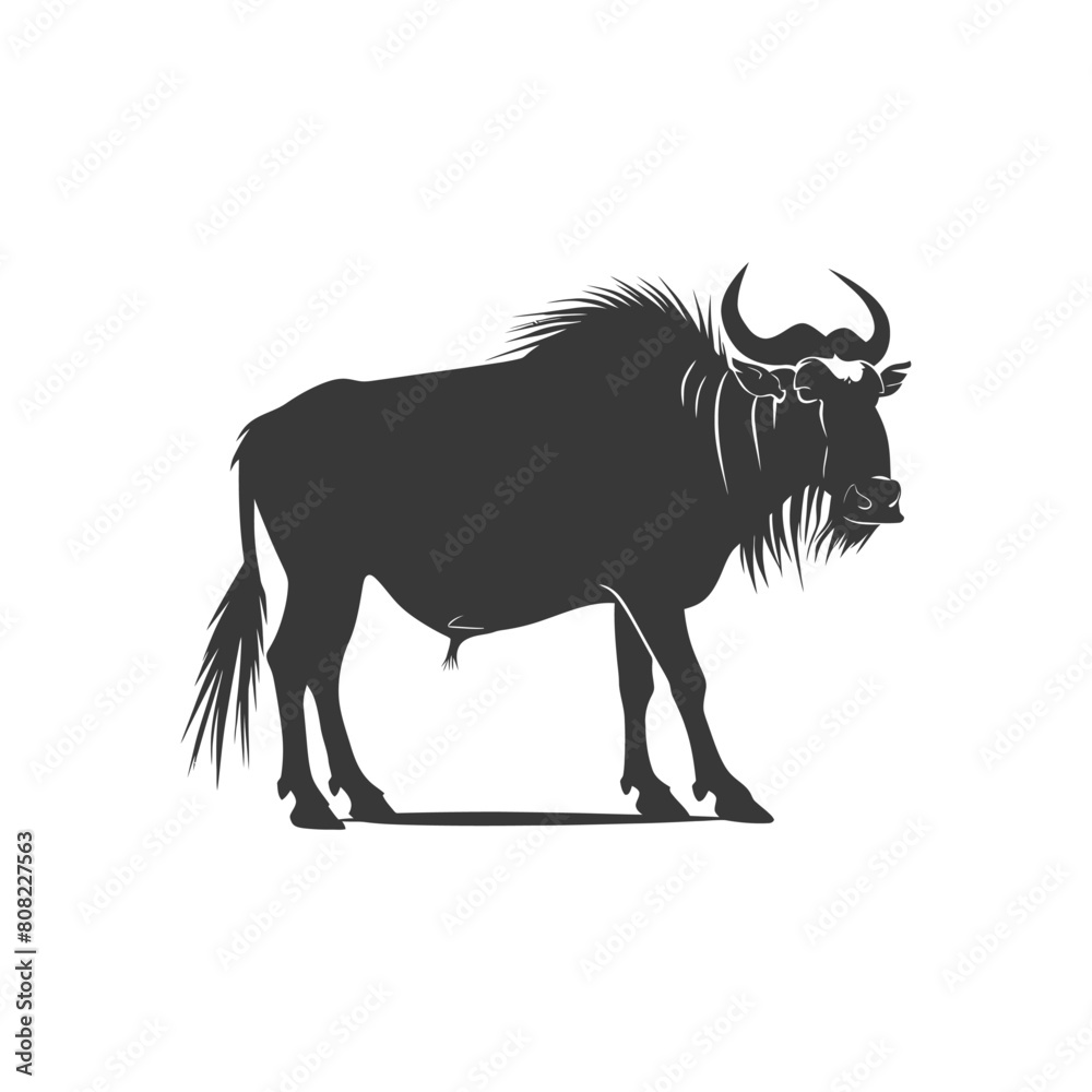Fototapeta premium Silhouette Wildebeest animal black color only