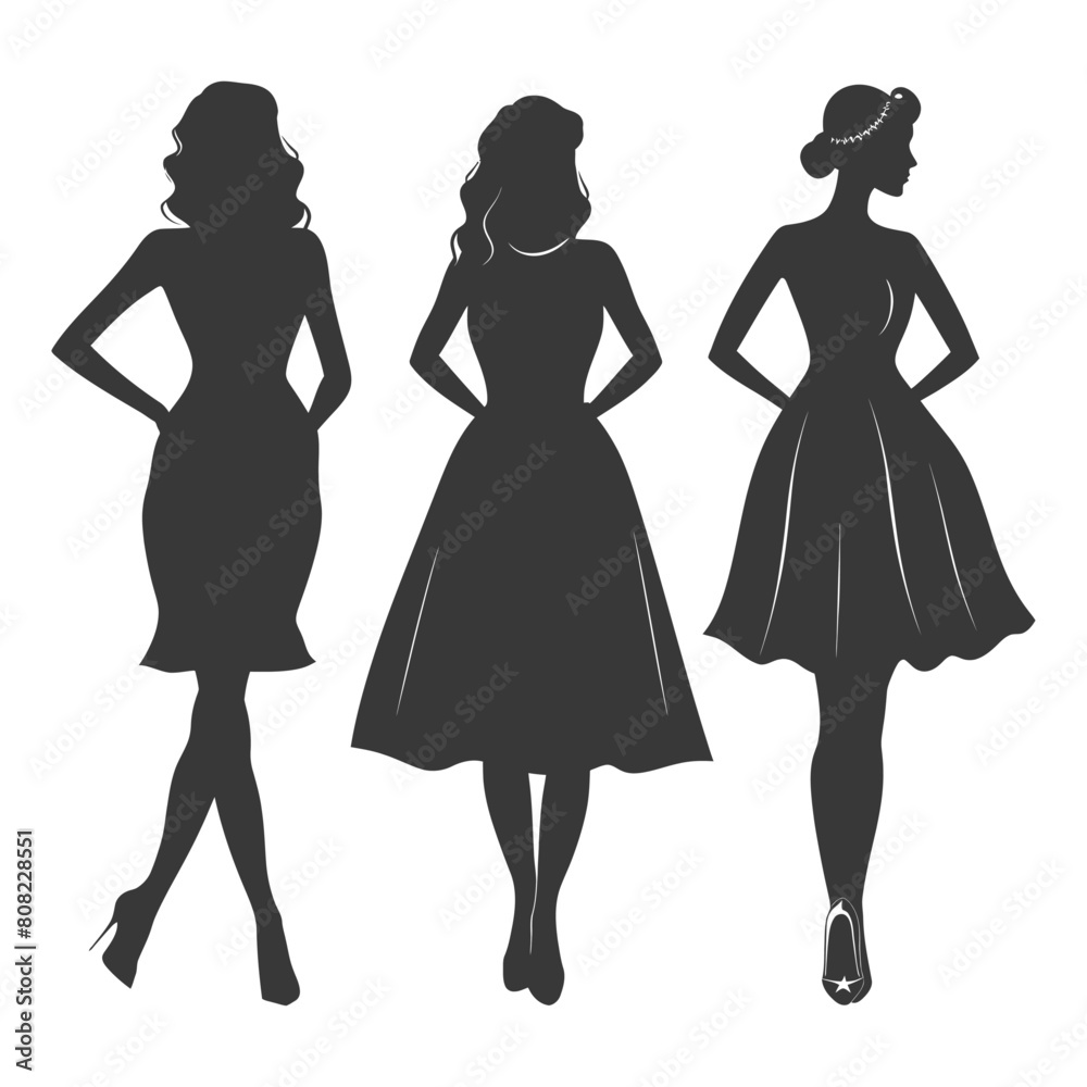 Silhouette women dresses black color only Silhouette women dresses black color only