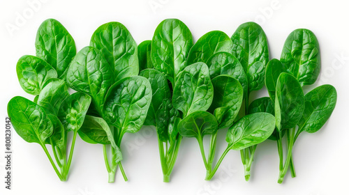 a bunch of crisp green spinach leaves against a white background, great for promoting healthy eating photo