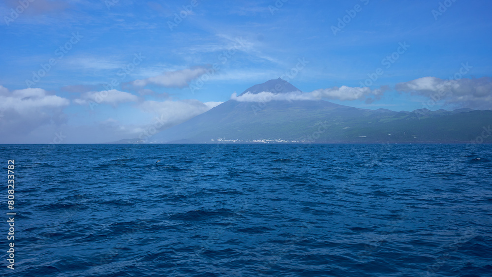 Pico island. Whales swim near boat in the Atlantic Ocean. Pico island. Whales swim near boat in the Atlantic Ocean.
