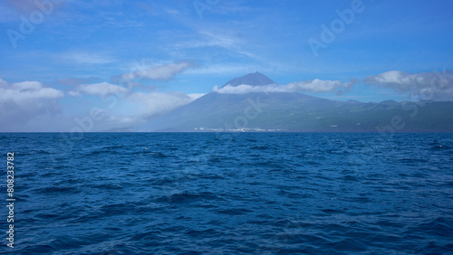 Pico island. Whales swim near boat in the Atlantic Ocean. 