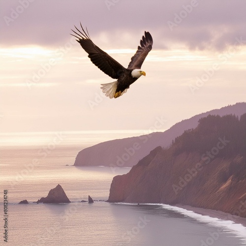 Eagle soaring over subtle coastal cliffs