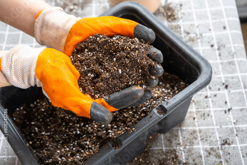 Ingredients for the soil of home potted plants, peat, earth, sand, perlite, vermiculite, coconut. A mixture for planting plants in a pot florist's gloved hands are mixing in a container photo