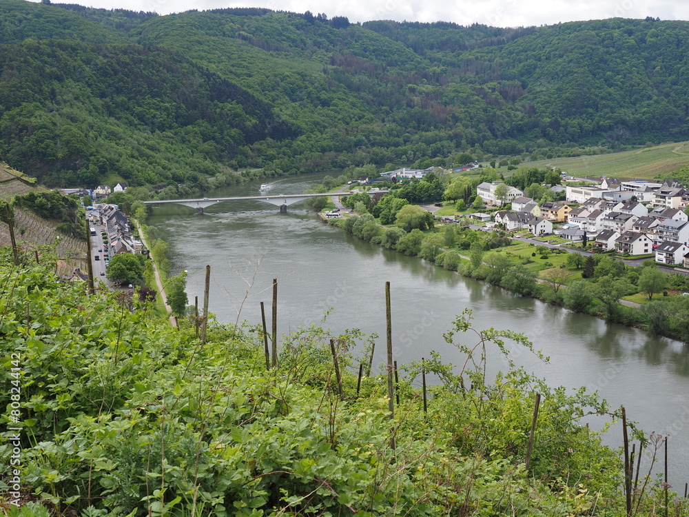Zell - Stadt an der Mosel in Rheinland-Pfalz