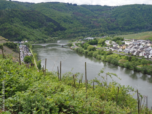 Obraz na płótnie Zell - Stadt an der Mosel in Rheinland-Pfalz w salonie
