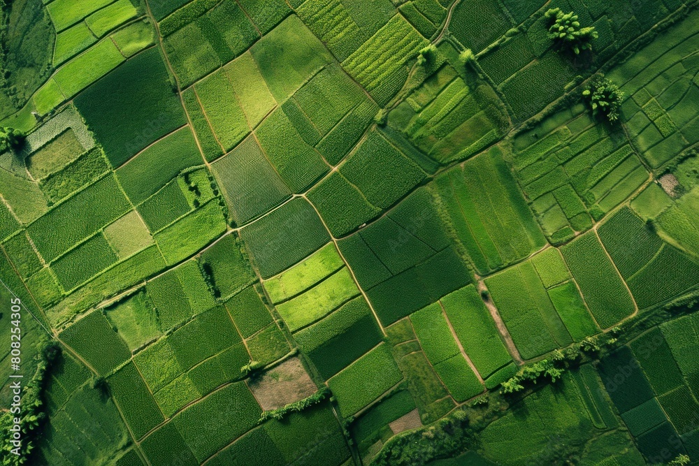 Naklejka premium Rolling Aerial view farm land. Green rural. Generate Ai