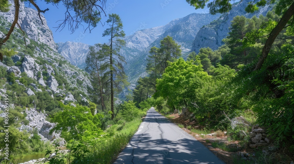 an asphalt road winding through mountainous terrain, flanked by white rocks and lush vegetation under the radiant sun. an asphalt road winding through mountainous terrain, flanked by white rocks and lush vegetation under the radiant sun.
