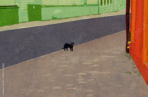 Czarny kot na drodze jezdni w mieście wśród budynków. © Monika