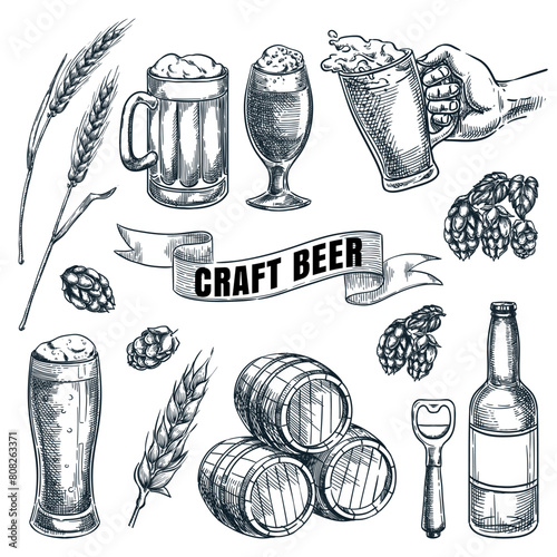 Craft beer and brewery vector hand drawn sketch illustration. Bottles, barrels and glasses design elements for pub and bar alcohol drinks menu