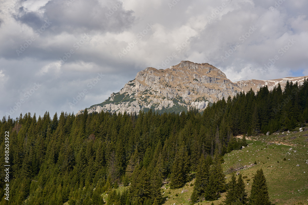 Alpine landscape with mountains and pine forests