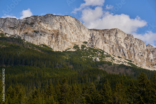 Alpine landscape with mountains and pine forests