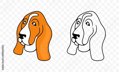 Dog head, basset hound breed, graphic design. Animal, pet, hound, dog, vector design and illustration