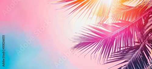 Bright summer tropical backdrop with colorful palm leaves and bokeh effect. Trendy botanical wallpaper with soft colors. Festive mood. Summer vibes. Wide banner. Copy space. Mockup for design