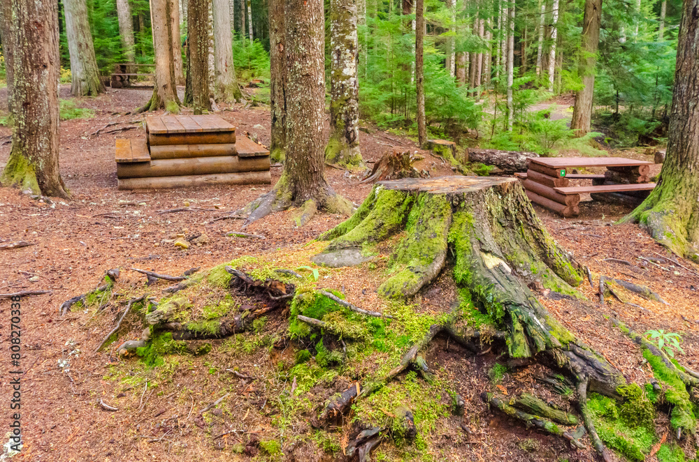 Picnic Table in Park with mountains at summer day in Vancouver, Canada, North America. Picnic Table in Park with mountains at summer day in Vancouver, Canada, North America.