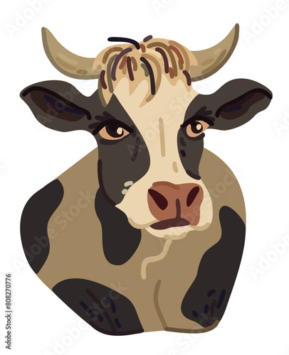 Farm cow head vector design. Cute spotted cow with long eyelashes
