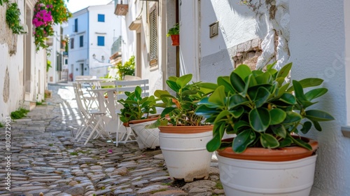 a row of white flower pots adorned with lush green plants, complemented by an outdoor table and chairs on a street corner, with a charming blue door in the background, illuminated by the warm rays. © lililia