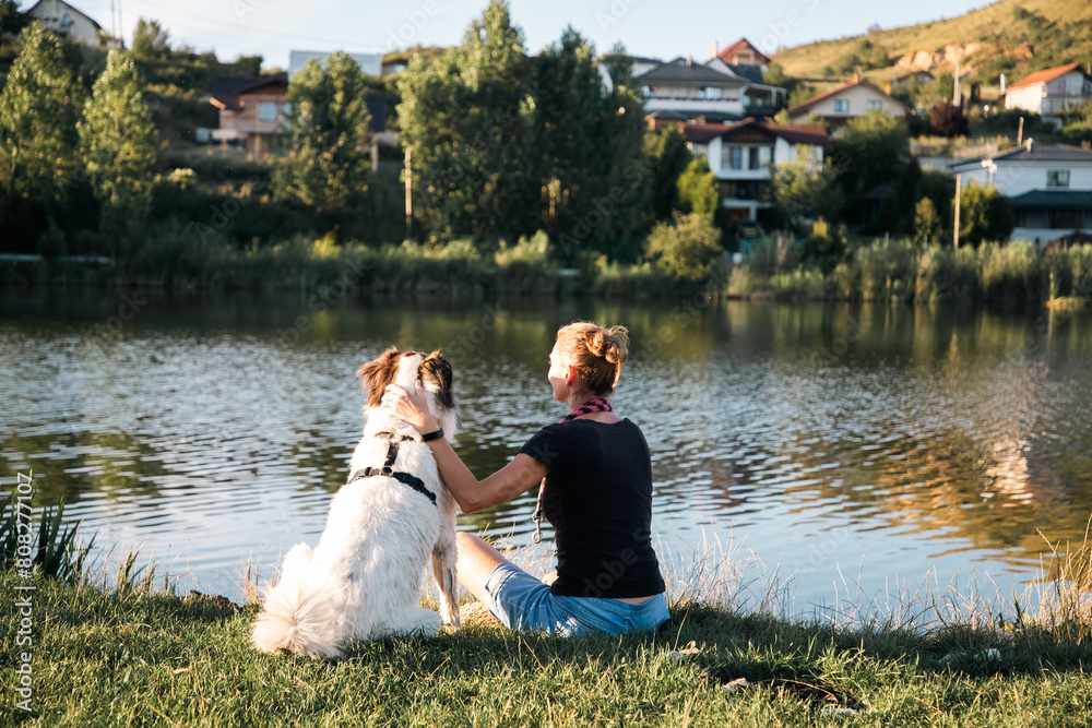 summer lakeside with a dog summer lakeside with a dog