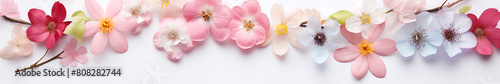 Spring composition banner on light background with spring flowers