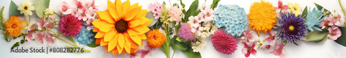 Spring composition banner on light background with spring flowers