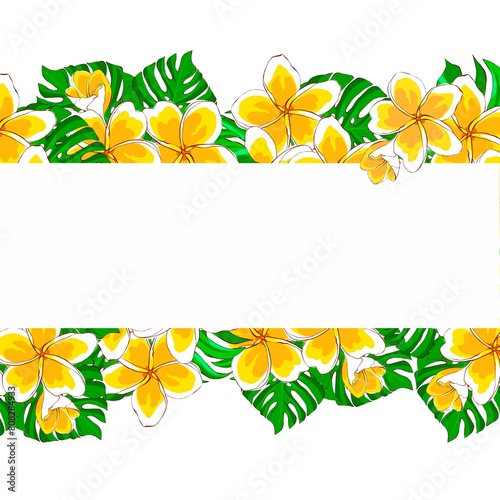 Floral template of tropical flowers and leaves, hand drawn illustration on a white background. Exotic flowers and monstera leaves. Design for invitation, greeting card and banner.