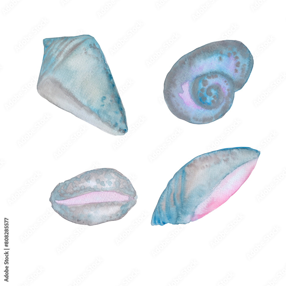 different types of shells in blue violet color set watercolor ...