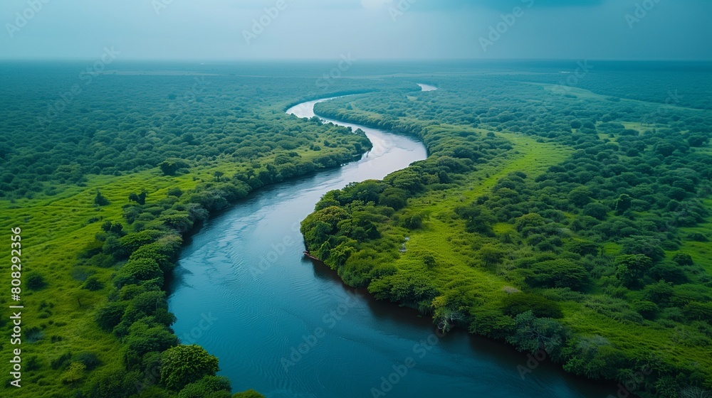Captivating drone shot of a winding river in a lush forest, nature's beauty from above, YouTube thumbnail