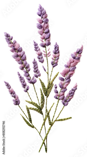 PNG  Lavender lavender embroidery blossom.