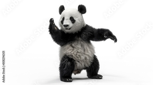 a black and white panda dancing isolated on white background realistic