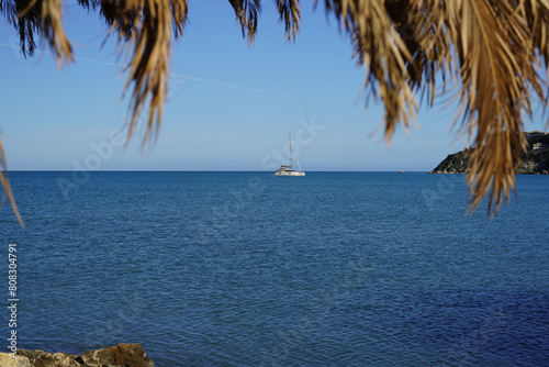 beach and shore of Limni Keriou and Marathonisi island with palm trees leaves